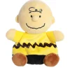 Owl & Goose Gifts Palm Pals 5 Inch Peanuts Charlie Brown Plush Toy -| Plush Toys