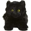 Owl & Goose Gifts Warmies 13 Inch Black Cat Microwavable Plush Toy -| Plush Toys